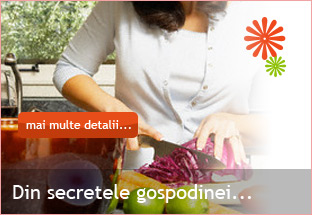 Din secretele gospodinei